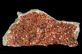 Ruby Red Vanadinite Crystals on Pink Barite - Morocco #82373-1